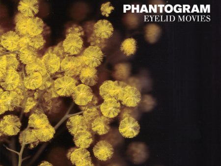 Phantogram - Eyelid Movies (2LP)(Coloured) Supply