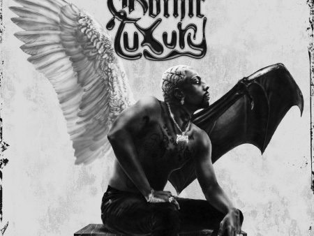 Meechy Darko - Gothic Luxury (2LP)(Coloured) Online