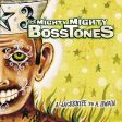 Mighty Mighty Bosstones - A Jacknife To A Swan Online now