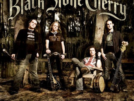 Black Stone Cherry - Folklore And Superstition (2LP)(Coloured) For Discount