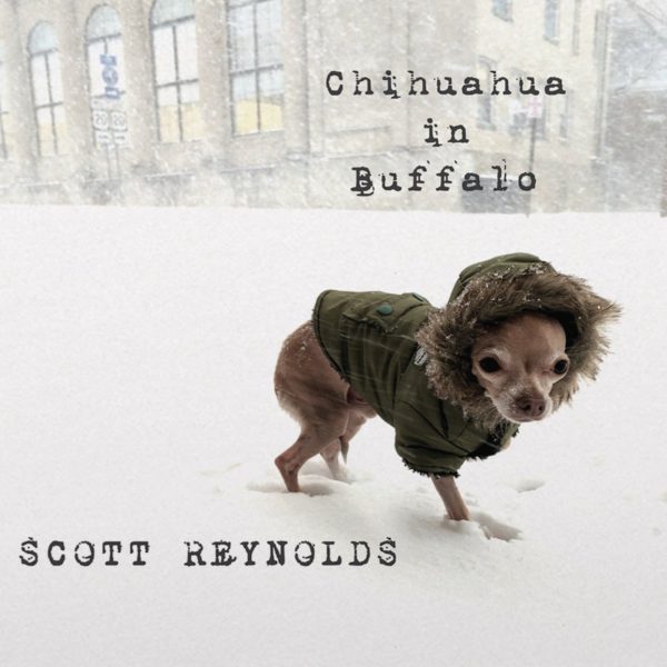 Scott Reynolds - Chihuahua In Buffalo (Coloured) Fashion