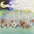 Sheepdogs - Trying To Grow (CD) Online now