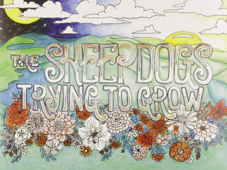 Sheepdogs - Trying To Grow (CD) Online now