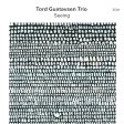 Tord Gustavsen Trio - Seeing For Sale