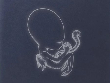 Sigur Ros - Agaetis Byrjun (2LP)(Coloured) Cheap