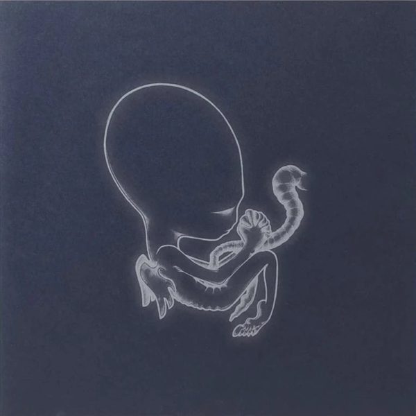 Sigur Ros - Agaetis Byrjun (2LP)(Coloured) Cheap