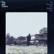 City And Colour - If I Should Go Before You (2LP) Supply