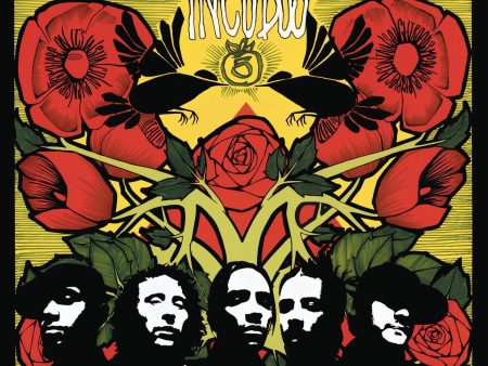 Incubus - A Crow Left Of The Murder (2LP)(Coloured) For Cheap