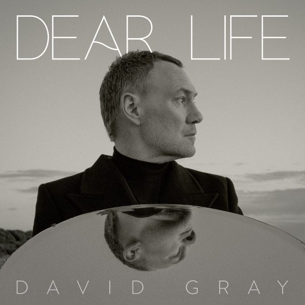 David Gray - Dear Life (2LP)(Green) Fashion