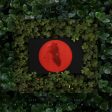 Moses Sumney - Live From Blackalachia (2LP)(Red) on Sale