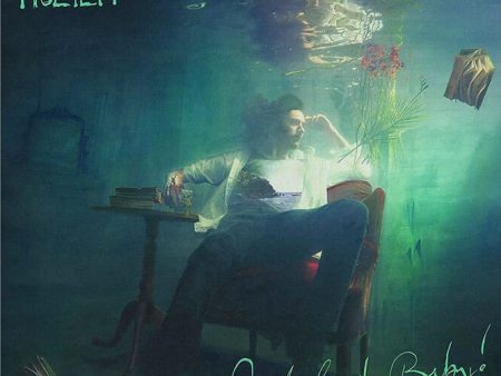 Hozier - Wasteland Baby (2LP) on Sale