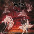 Immolation - Dawn Of Possession (Purple) Discount