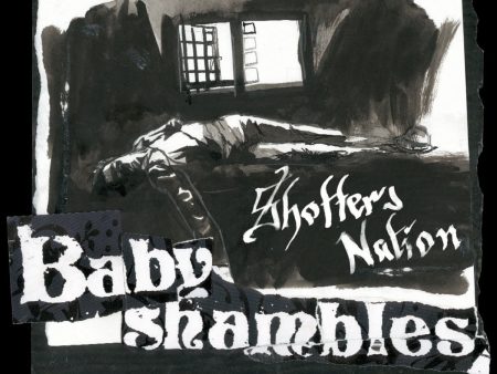 Babyshambles - Shotter s Nation (Clear) Online Sale