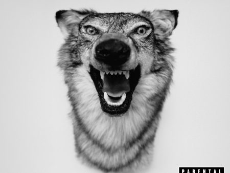 Yelawolf - Love Story For Discount