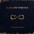 Flatland Cavalry - Flatland Forever (2LP) Discount