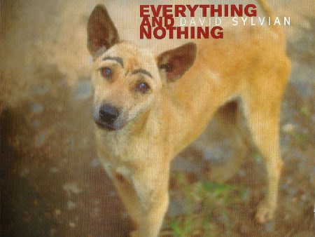 David Sylvian - Everything And Nothing (3LP) Fashion