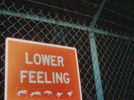 Rarity - Lower Feeling (Orange) Supply