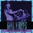 Guns N  Roses - Deer Creek 1991 on Sale