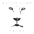 White Lion - Pride Fashion