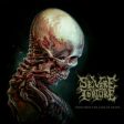 Severe Torture - Torn From The Jaws Of Death Online Hot Sale