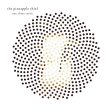 Pineapple Thief - One Three Seven For Discount