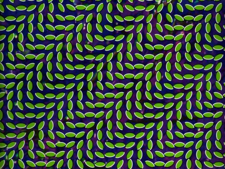 Animal Collective - Merriweather Post Pavilion (2LP) (Coloured) For Sale