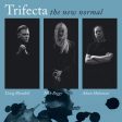 Trifecta - The New Normal (2LP)(White) Discount